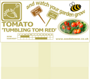 Tomato Tumbling Tom Red - Seeds to Sow Limited