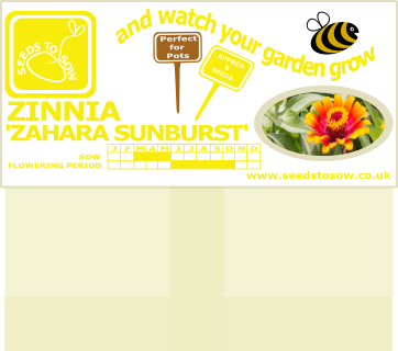Zinnia - Zahara Sunburst - Seeds to Sow Limited