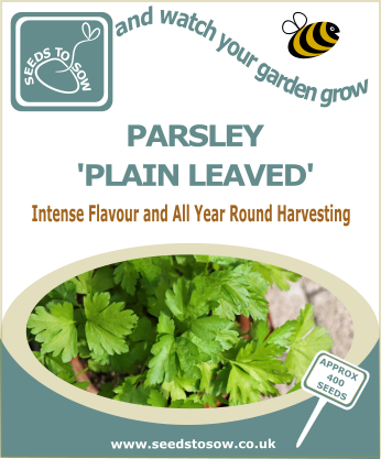 Parsley Plain Leaved - Seeds to Sow Limited