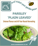 Seed Box - Herb Seed Collection - Seeds to Sow Limited