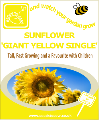 Sunflower - Giant Yellow Single - Seeds to Sow