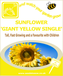 Sunflower - Giant Yellow Single - Seeds to Sow Limited