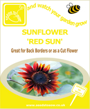 Sunflower - Red Sun - Seeds to Sow Limited