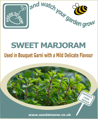 Sweet Marjoram - Seeds to Sow Limited