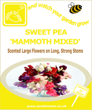 Sweet Pea - Mammoth Mixed - Seeds to Sow Limited