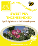 Sweet Pea - Incense Mixed - Seeds to Sow Limited