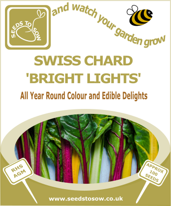 Swiss Chard Bright Lights - Seeds to Sow Limited