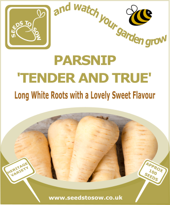 Parsnip Tender and true - Seeds to Sow Limited