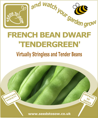 French Bean Dwarf Tendergreen - Seeds to Sow Limited