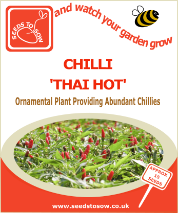 Chilli Thai Hot - Seeds to Sow Limited