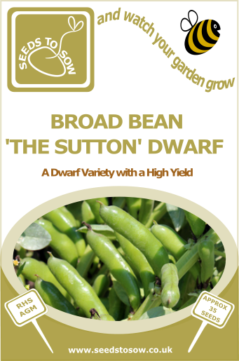 Broad Bean Sutton Dwarf - Seeds to Sow Limited