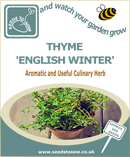 Thyme - English Winter - Seeds to Sow Limited