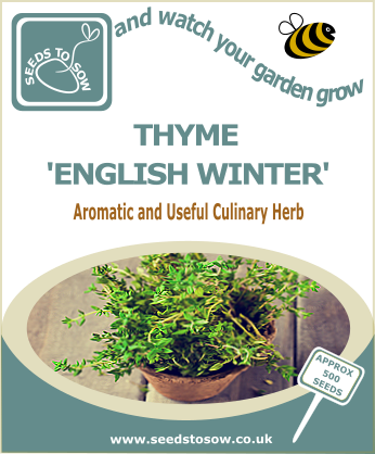 Thyme - English Winter - Seeds to Sow Limited