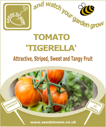 Tomato Tigerella - Seeds to Sow Limited