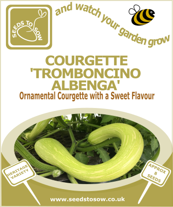 Courgette Tromboncino Albenga - Seeds to Sow Limited