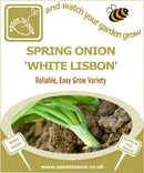 Spring Onion White Lisbon - Seeds to Sow Limited
