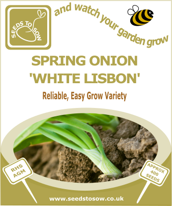 Spring Onion White Lisbon - Seeds to Sow Limited