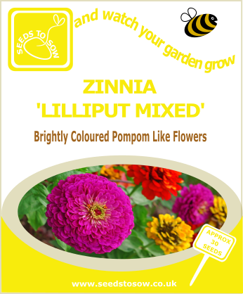 Zinnia - Lilliput Mixed - Seeds to Sow Limited