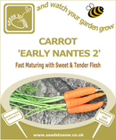 Carrot Early Nantes 2 - Seeds to Sow Limited