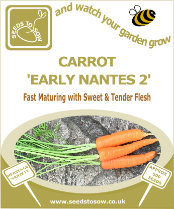 Carrot Early Nantes 2 - Seeds to Sow Limited