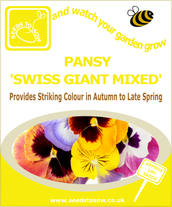 Pansy - Swiss Giant Mixed - Seeds to Sow Limited