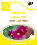 Cosmos Dazzler seeds
