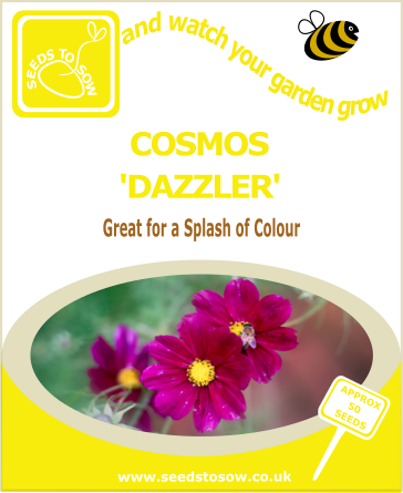 Cosmos Dazzler seeds