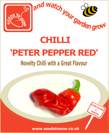 Chilli Peter Pepper Red