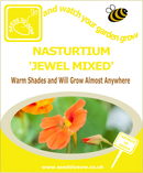 Nasturtium - Jewel Mixed - Seeds to Sow Limited