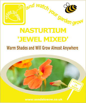 Nasturtium - Jewel Mixed - Seeds to Sow Limited