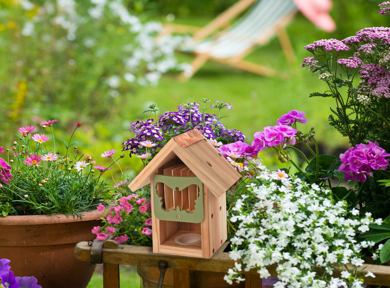 Butterfly Barn