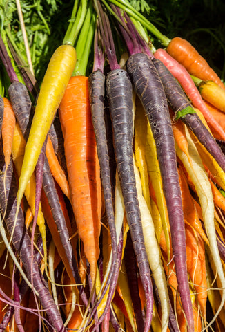 20 x Wedding and Civil Ceremony Favour - Rainbow Carrot Seeds - Seeds to Sow Limited