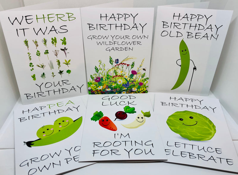 Seed Card - Birthday Card - Grow Your Own Wildflower Garden - Seeds to Sow Limited