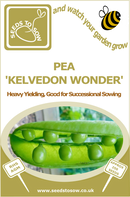 Pea Kelvedon Wonder