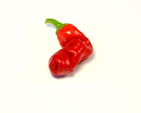 Chilli Peter Pepper Red - Seeds to Sow Limited