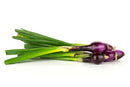Red Salad Onion Seeds