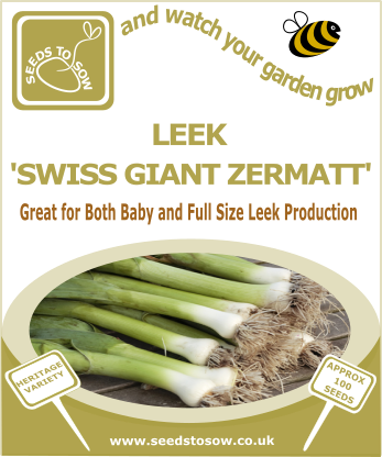 Leek Swiss Giant Zermatt - Seeds to Sow Limited