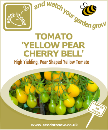 Tomato Yellow Pear Cherry Bell