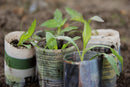 Gifts & Accessories - Paper Pot Maker - Seeds to Sow Limited