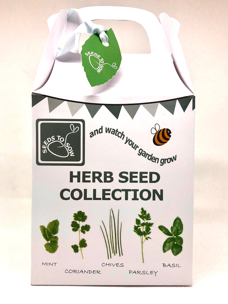 Seed Box - Herb Seed Collection - Seeds to Sow Limited