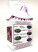 Seed Box - Perennial Flower Seed Collection - Seeds to Sow Limited