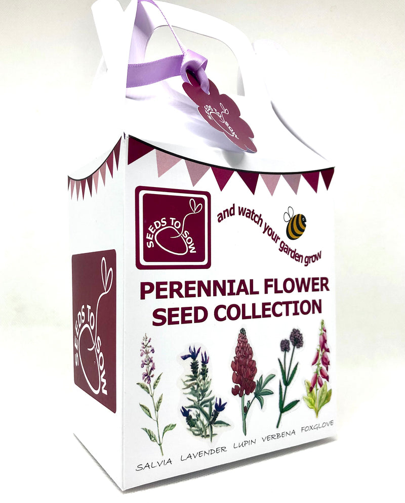 Seed Box - Perennial Flower Seed Collection - Seeds to Sow Limited