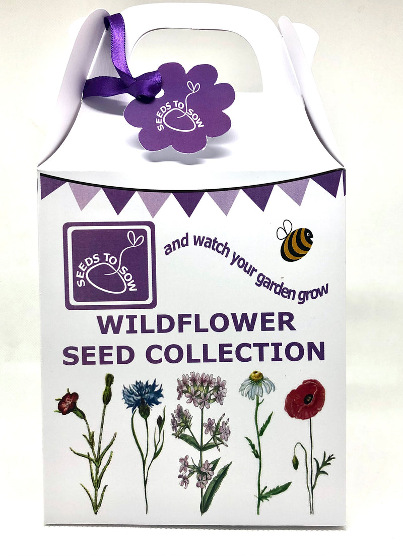 wildflower seed box Seeds to Sow - Wildflower Seed Collection