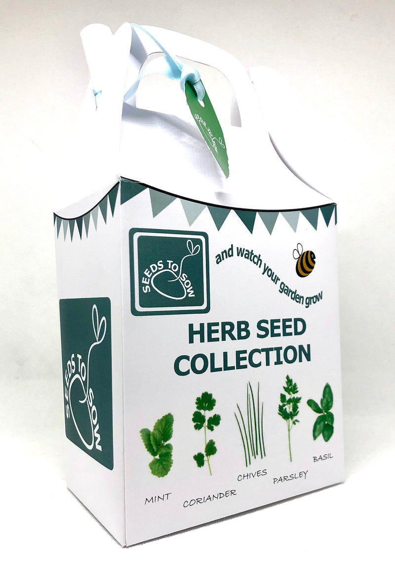 Seed Box - Herb Seed Collection - Seeds to Sow Limited