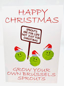 Seed Card - Christmas Card - Grow Your Own Brussels Sprouts - Seeds to Sow Limited